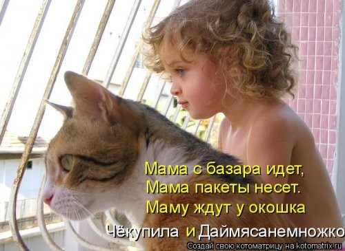 Наши смешные котейки