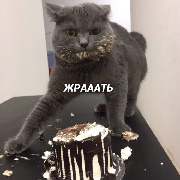 Это те 8 дел, которые я лучше всего делаю и у меня получается ИДЕАЛЬНО! Это те 8 дел, которые я лучше всего делаю и у меня получается ИДЕАЛЬНО!