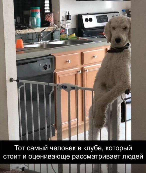 Чудики