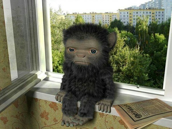 Дневник домового Дневник домового