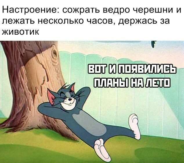 "Хочу черешню"