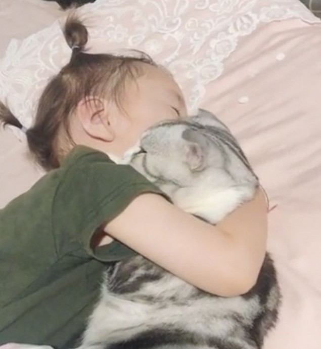 Обнимашки