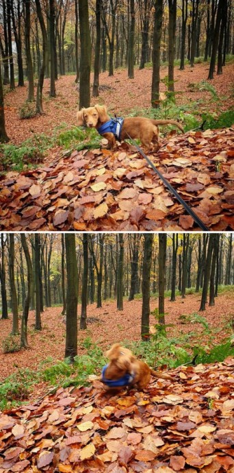 Что остается за кадром идеальных фоточек