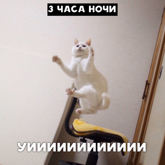 Стандартный будний день