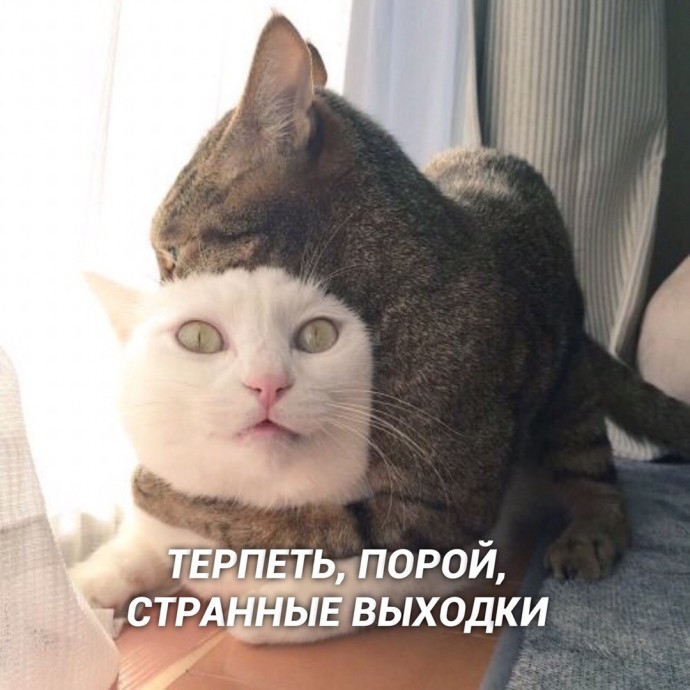 Любовь - это