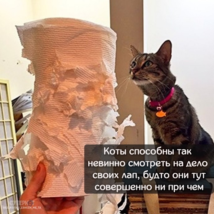 Несколько фотографии, которые поймет каждый