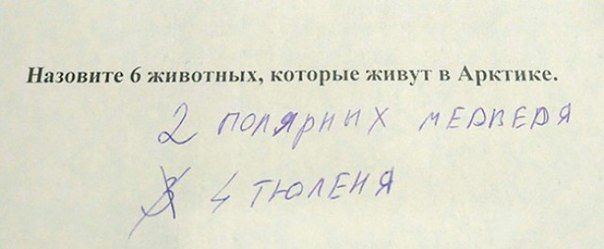 Когда учишься в младших классах, но уже познал жизнь.