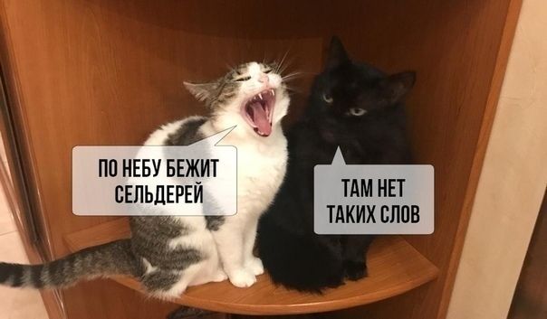 Душeвных пeceн пocт.