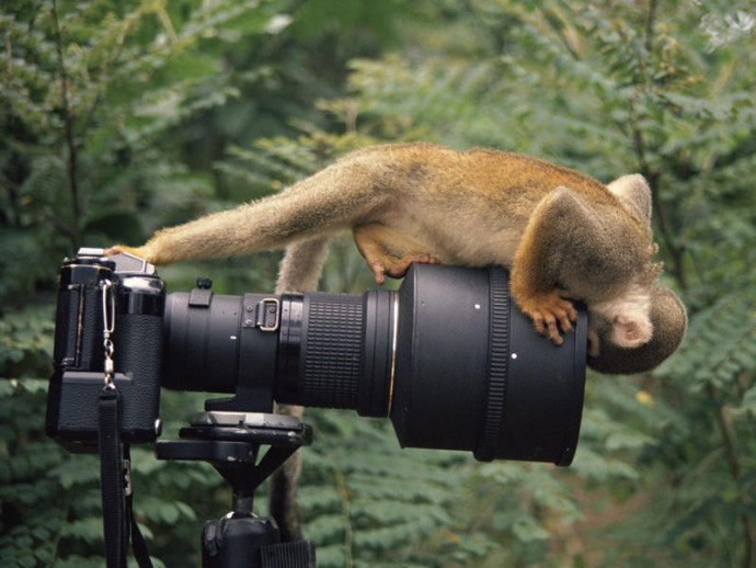 А потом говоришь своему другу: "А теперь меня сфоткай"