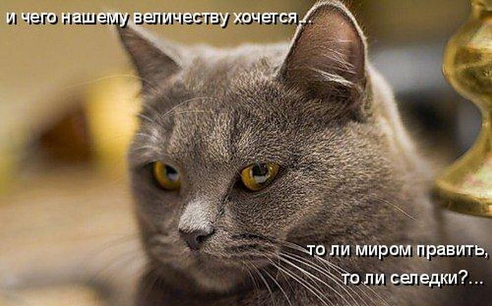 ����������� ��� 3