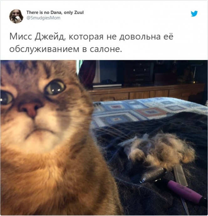 Люди делиться фотографиями своих лучших друзей