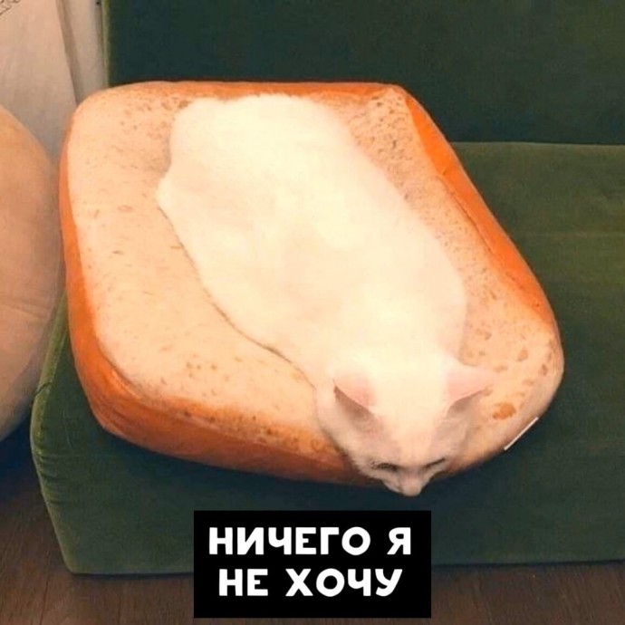 Песенка дня