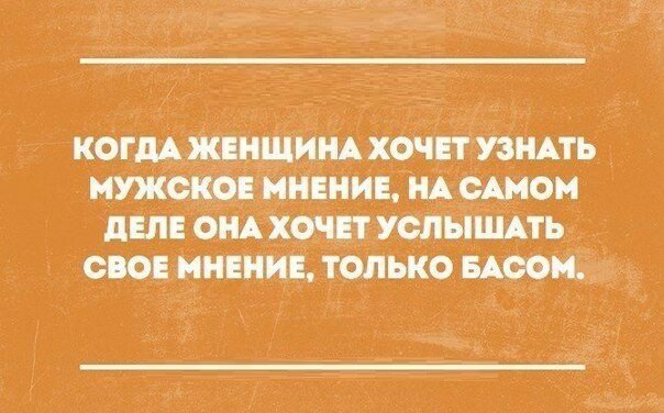 Прикольные, беззлобные изречения и мысли о прекрасной половине человечства.