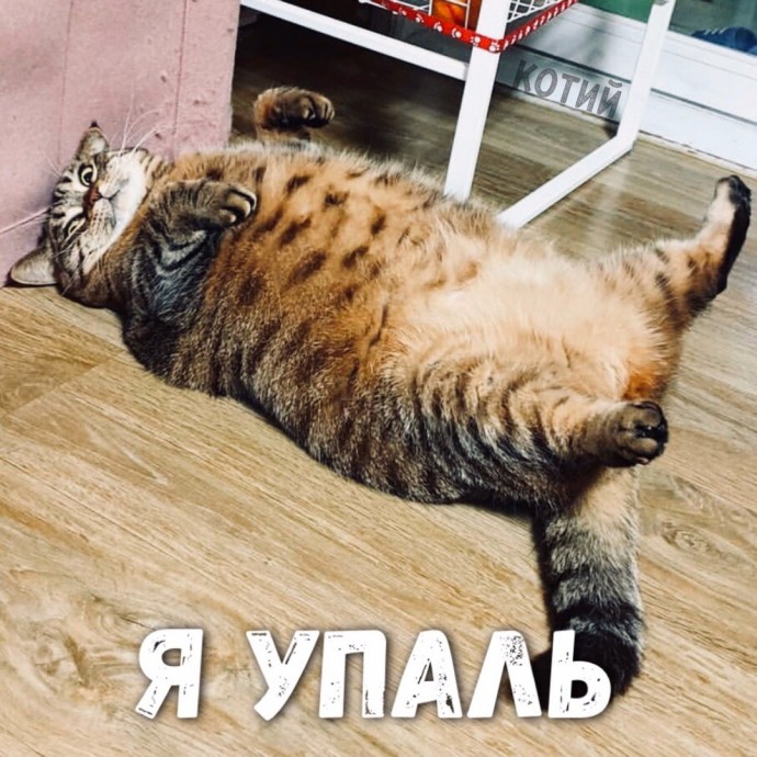 С чего начинается утро