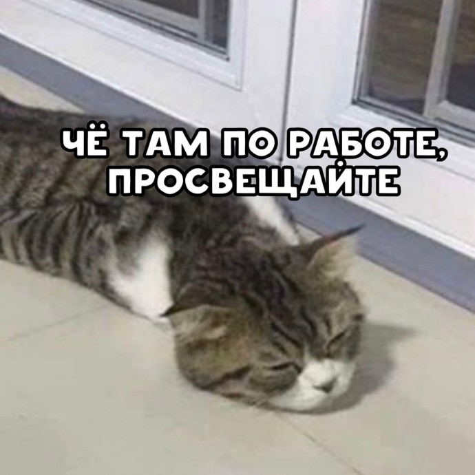 Расписание на день: