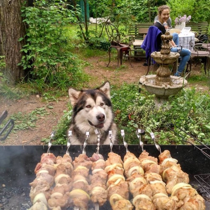 Лето на даче!