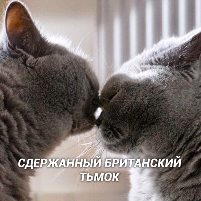 Пособие по тьмок