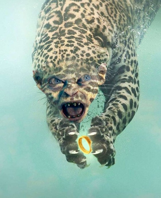 Эмоциональный леопард нырнул под воду за рыбкой, а вынырнул героем захватывающего фотошоп-сражения