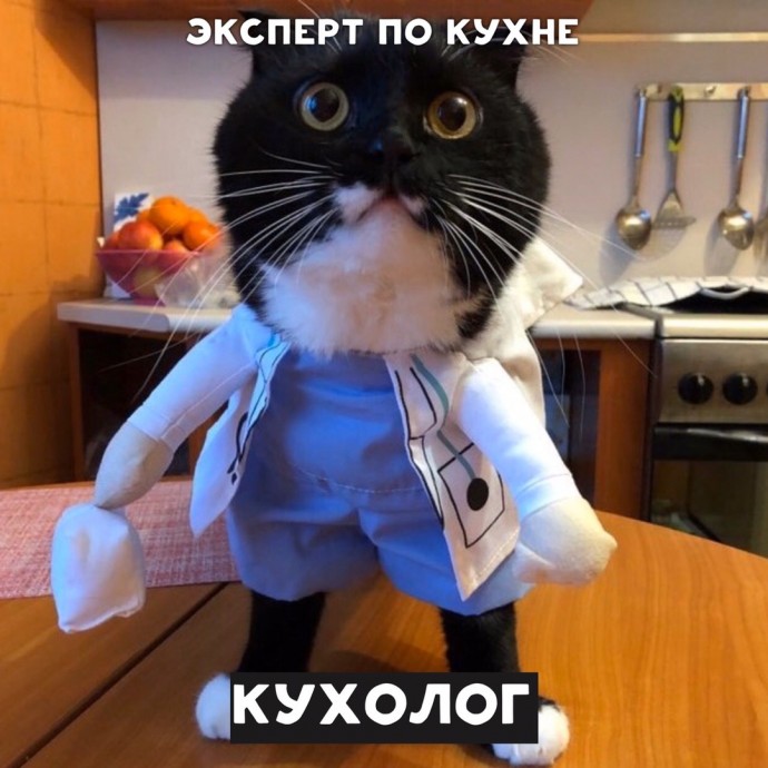 Если бы котики были врачами