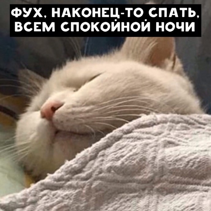 Почему многие не высыпаются