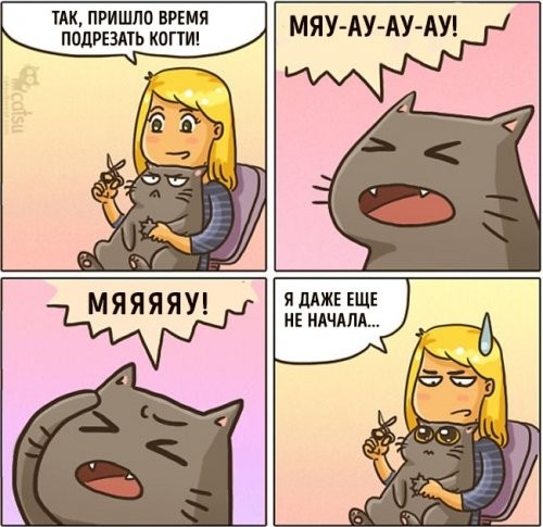 Забавные комиксы про жизнь со шкодливым котом