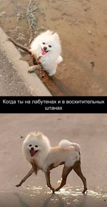 Чудики