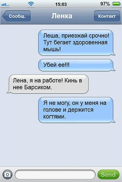 Смешные SMS семейной пары