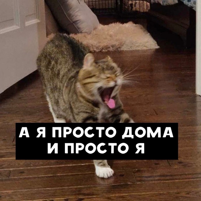 Это и правда АААААА