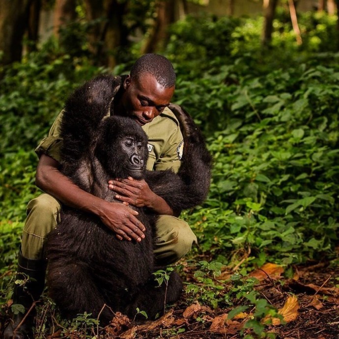 National Geographic выбрал лучшие фото в Instagram в этом году