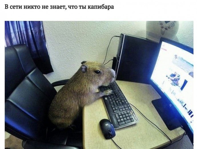 Вот так вот вернешься домой - и оказывается, что там без тебя развлекались на всю катушку. Вот так вот вернешься домой - и оказывается, что там без тебя развлекались на всю катушку.