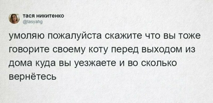 Что говорят своим питомцам перед уходом из дома