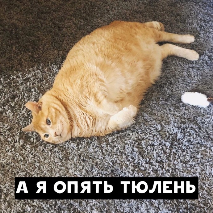 Ежедневное состояние