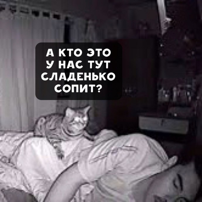 Ночные похождения кота