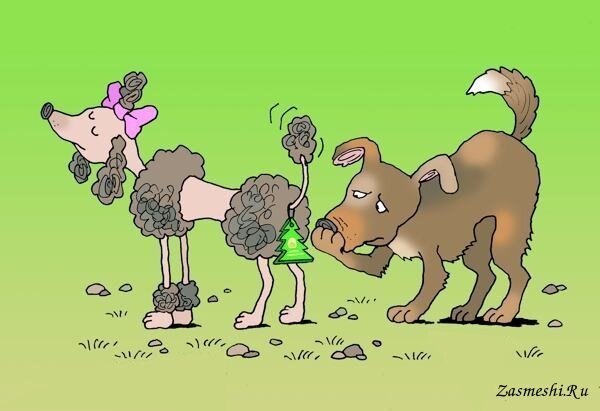 Животные в карикатурах