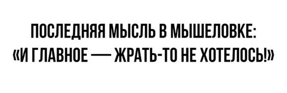 Картинки и смешные комментарии для настроения