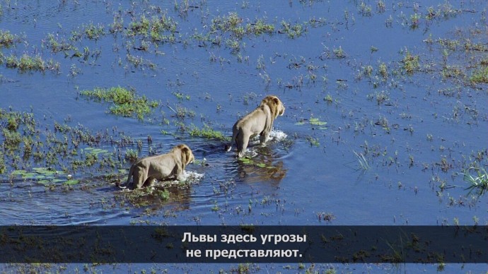 Тролль