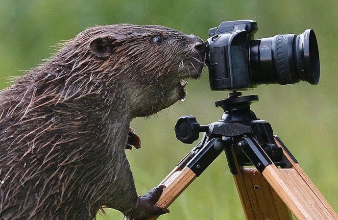 А потом говоришь своему другу: "А теперь меня сфоткай"