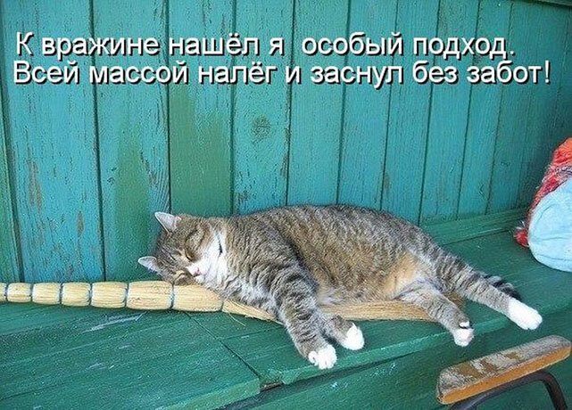 Котопост