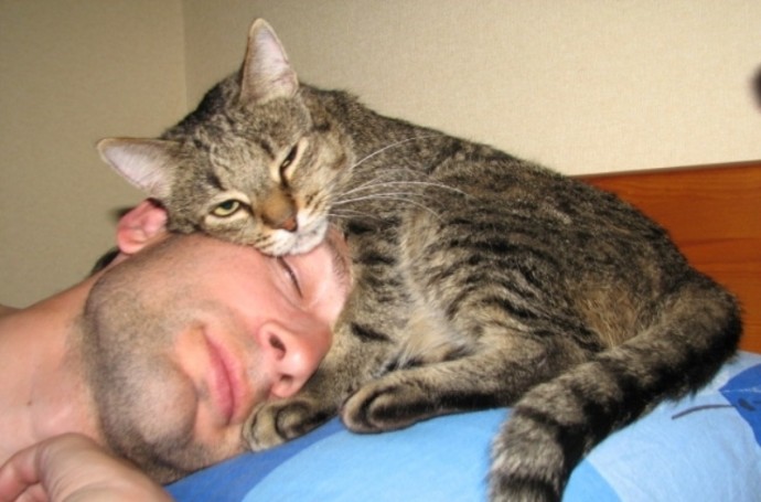 В доме, где есть кот, будильник не нужен!