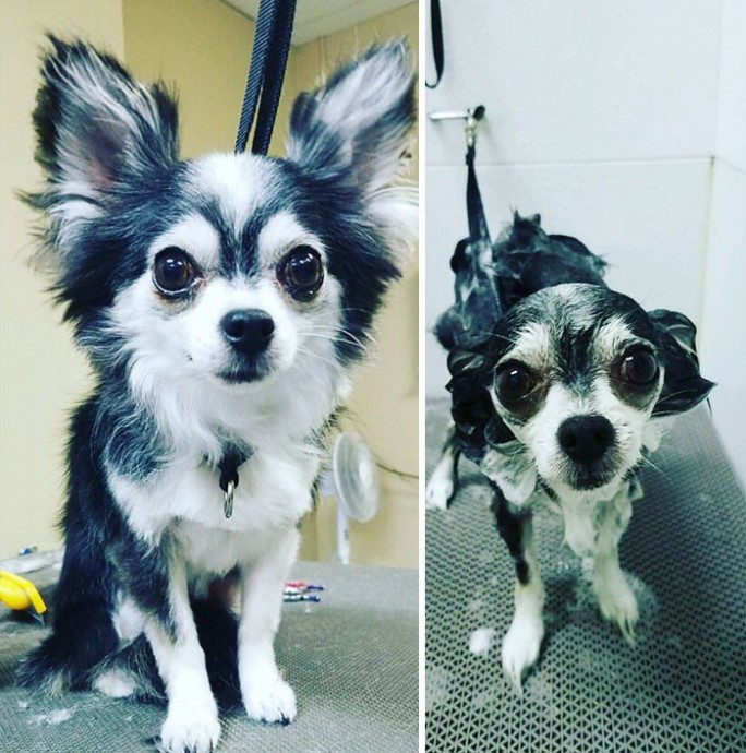 До и после принятия ванны