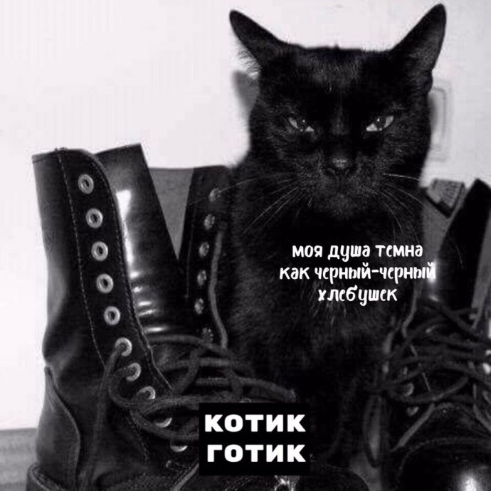 Порция тотемных котов. Выбери своего.