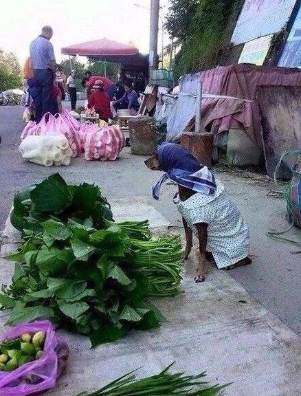 "Покупаем свежие продукты! Не стесняемся!"