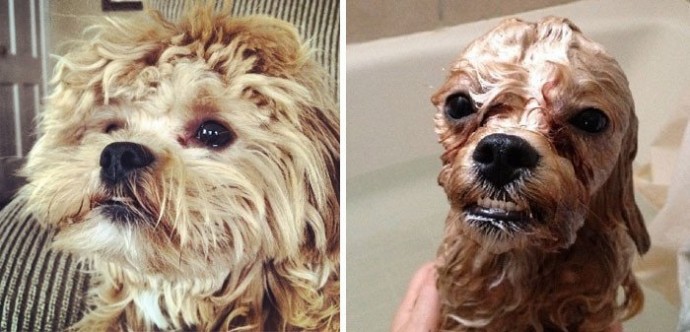До и после принятия ванны