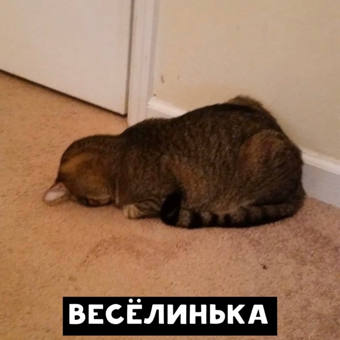 - Ну как твоё утро?