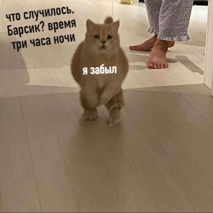 Каждую ночь...