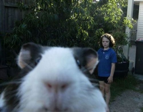 Настоящая игра начинается именно в тот момент, когда вы пытаетесь сфотографироваться Настоящая игра начинается именно в тот момент, когда вы пытаетесь сфотографироваться
