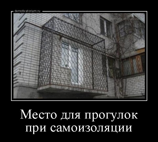 Свежая подборка демотиваторов, все для хорошего настроения!
